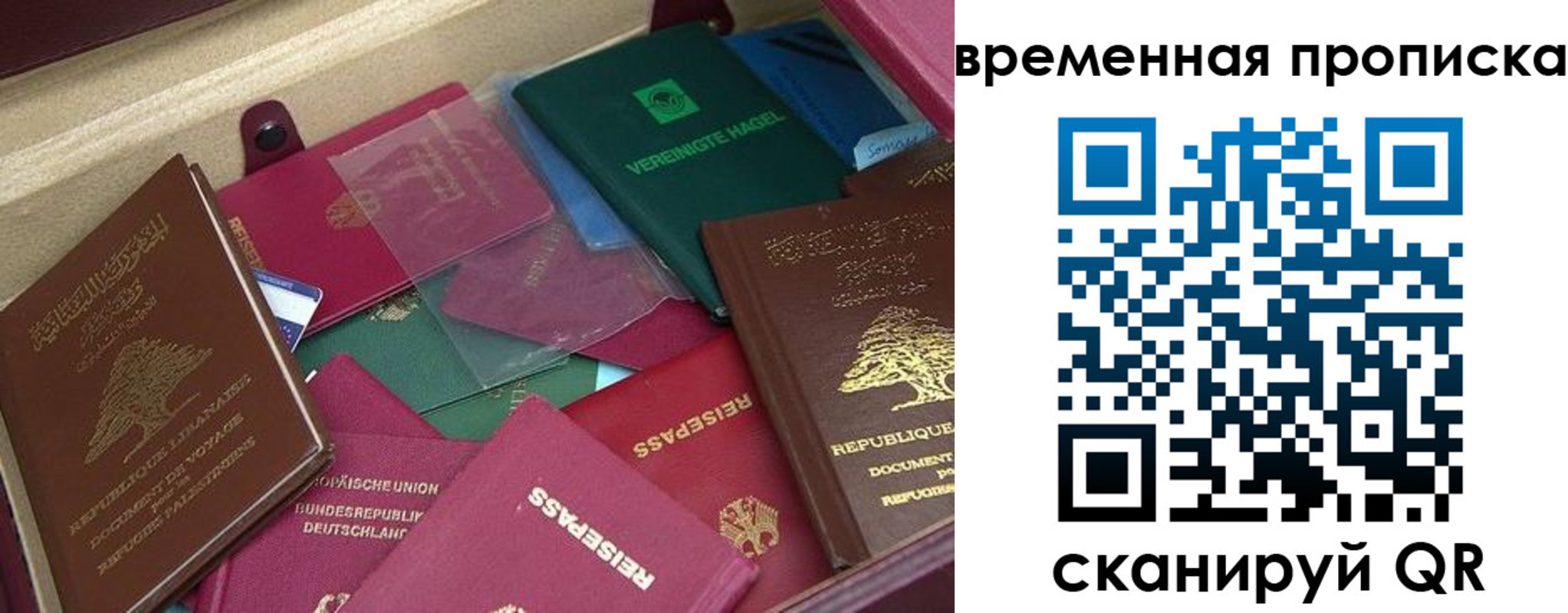 прописка в Черепаново
